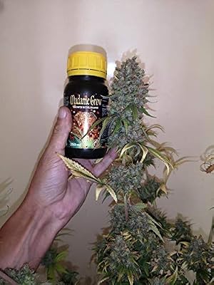 MADAME GROW / Abono o Fertilizante orgánico para Marihuana o ...