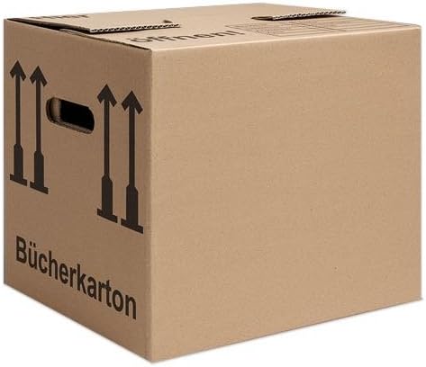 100 Cajas de Cartón. Caja y organizador sin hogar.: Amazon.es: Oficina y papelería