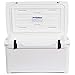 Engel Coolers ENG65 Cooler | 70 Can High Performance Durable Seamless Rotationally Molded Ice Box for Camping, Hunting, and Fishing - White