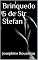 Livro Brinquedo 5 de Sir Stefan (Brinquedo de Sir Stefan)