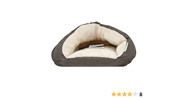 walgreens dog bed