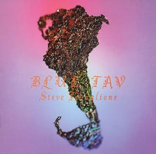 Amazon ブルー タブ スティーブ タバローニ マイケル オニール アラン ホールズワース マイケル ランドウ ジョン ベーニャ デビッド ガーフィールド スティーブ タバローニ ビニー カリウタ フュージョン 音楽