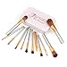 Gisala 12 Pcs Makeup Brush Set Premium Cosmetics Synthetic Kabuki Makeup Brushes, Foundation, Blending Blush, Eyeliner, Face Powder Brush Kit with Metal Box