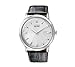 Citizen Eco Drive Men's Date Strap Watch