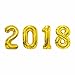 GOER 42 Inch Hot Pink 2026 Number Foil Balloons,2026 Graduation Decorations New Year Eve Festival Party Supplies