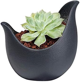 Faturt Flower Pot Ceramic Hydroponic Container Creative Simple Green Wall Hanging Water Culture Soil (with Holes, No Holes, Optional) (Color : Black, Size : Hole)