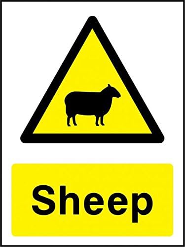 Sign Time | Sign Time |Sheep sign (Corrugated Plastic) | Farming | Agricultural | Out Door | UK Made