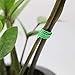 KINGLAKE 200 Pcs Green Paper Twist Ties Garden Ties Plant Supports for Plantsthumb 2