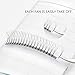 2 Packs 3D Volume Eyelash Extensions D Curl .10 12mm 14mm Premade Fans Russian Individual Cluster Eye Lashes W Pre Made Fanned Lash Extension Set by EMEDA