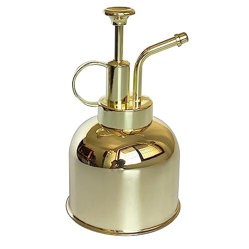 Lianshi Plant Mister Spray Bottle Stainless Steel Plant Sprayer, Small Watering can Plant Spray Bottle Modern Gardening Tools for Indoor Potted Plants Watering and Spraying