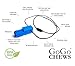 GoGoChews Chew Necklace - Train Shape Chewelry for Boys & Girls, Oral Motor Therapy Tool/Chew, Provides Sensory Input for Special Needs Chewers, Calming for Teething & Biting (Blue/Silver)
