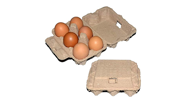 Paquete de 20 cajas de huevos biodegradables, 6 hueveras ...
