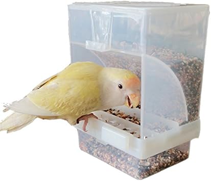 Amazon Com Parrot Integrated Automatic Bird Feeder No Mess Pet