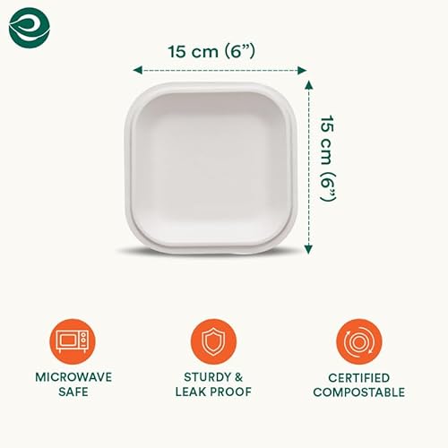 Amazon White Square Paper Plates ECO SOUL Compostable Square Paper