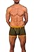 Lumber Collection - AnatoFREE Boxer Brief 3 inch Leg - Cypress - Large