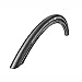 Schwalbe Pro One Tire - 700 x 23, Tubeless, Folding, Black, Evolution Line