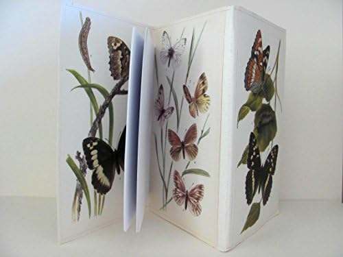 Butterflies concertina notebook 7.5" by 4.5"