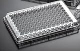 EarthOx Sterile Tissue Culture Plate 96 Well -Surface Treated (4 Plates)