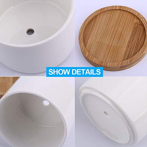 2 Succulent+Planter+ZOUTOG+Ceramic+Included