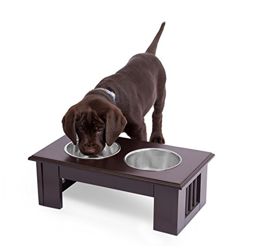 Internet S Best Traditional Elevated Pet Feeder 2 Small Dog Food