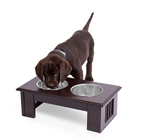 Internet's Best Traditional Elevated Pet Feeder | 2 Small Dog Bowls | Decorative Raised Stand with Double Stainless Steel Bowls | Espresso