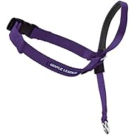 PetSafe Gentle Leader Head Collar with Training DVD, SMALL UP TO 25 LBS., DEEP PURPLE