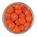 Berkley PowerBait Power Eggs Floating Magnum , Fluorescent Orange - Garlic Scent, .5 oz Small Jar