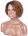 Kalyss 100% Human Hair Afro Short Curly Wavy 2 Tones Ombre Brown Black Roots Wigs for Black Women Lace hair wigs Side L Parting Bouncy Wigs