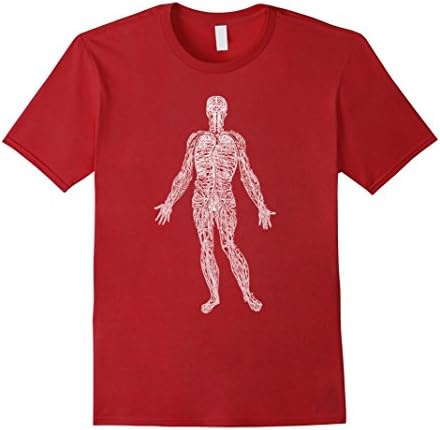 Mens Human Veins Arteries Grays Medical Diagram Funny T-Shirt Small Cranberry