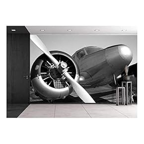 Vintage Twin Engine Airplane - Removable Wall Mural | Self-Adhesive Large Wallpaper - 66x96 inches