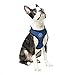 Gooby - Soft Mesh Harness, Small Dog Harness with Breathable Mesh, Blue, Medium