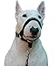 Dog Head Collar Halter Black (XS 4inch7inch Snout)