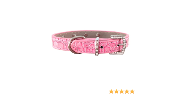 funshion shock collar