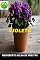 Livro Violeta