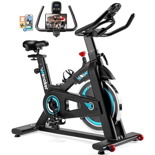 WENOKER Cyclette da Appartamento per la Casa, Esercizio Fitness con Resistenza Regolabile, Schermo LCD, Sedile Comodo, per Allenamento Cardio