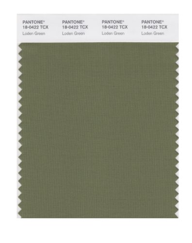 PANTONE SMART 18-0422X Color Swatch Card, Loden Green