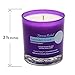 Aspire Today Aromatherapy Stress Relief Candle with Essential Oils of Lavender | 100% Natural Soy Wax | Scented Candle, Securely Packaged in Elegant Box, Made in USAthumb 1