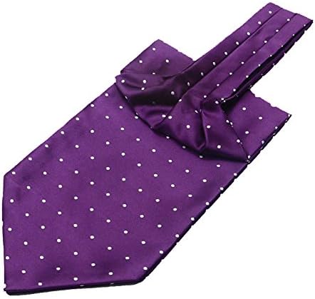 Tenchif Mens Elegant Polka Dot Print Cravat Tie Ascot for Wedding Party Business