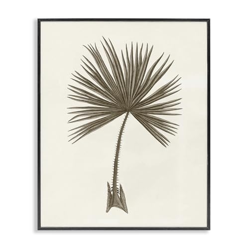 Stupell Industries Vintage Study of Palm Leaf Black Framed Giclee Art, design b…