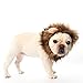 DOGLOVEIT Lion Mane for Cat Appreal, Pet Costume Lion Wig for Dog Cat Halloween Pet Dress up with Ears