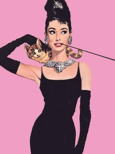 Amazon Com Audrey Hepburn Pink Canvas Print Cotton Multi