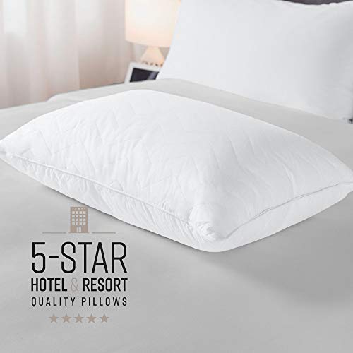 Sobel Westex Sahara Nights Firm Pillow, Best Pillow for Back and