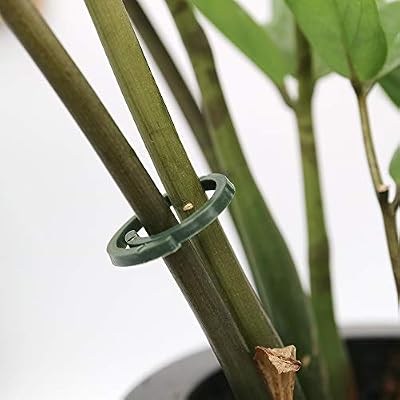 KINGLAKE 100 Anillos de plástico para Plantas con Tallo Flexible ...