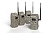 CuddeLink Black Flash (4 Pack) , Tan, 3 x 3 x 7 inches