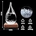 BLUESTORM Storm Glass Weather Predictor Storm Glass Barometer Forecaster Creative Crystal Glass Decorative Bottles Desktop Drops Craft Weather Station Barometer Scientific Gift (Large)