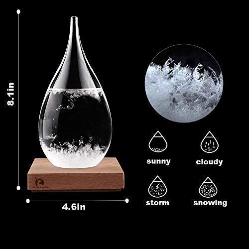 Storm Glass Weather Predictor glass Barometer Forecaster Creative