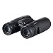 Wingspan Optics ProBirder Ultra HD 8X32 Binoculars for Bird Watching with ED Glass. Wide View, Close Focus, Waterproof. Compact. Experience Brighter, Clearer Images in Ultra HD 8x32 Magnification