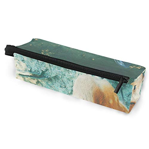 Best Sunglasses For Deer Hunting TOPRated Best Best Sunglasses For