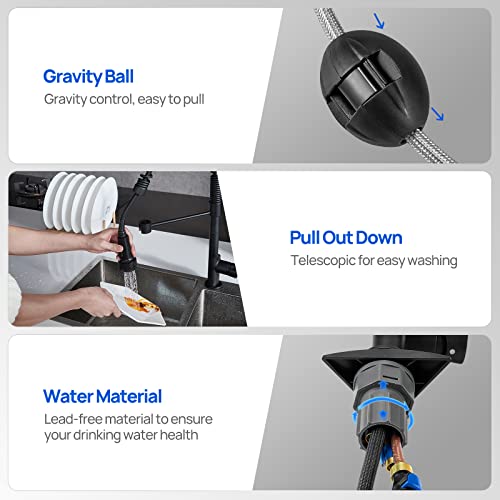 Camelot Kitchen Faucet with Pull Down Sprayer, Single Handle High Arc