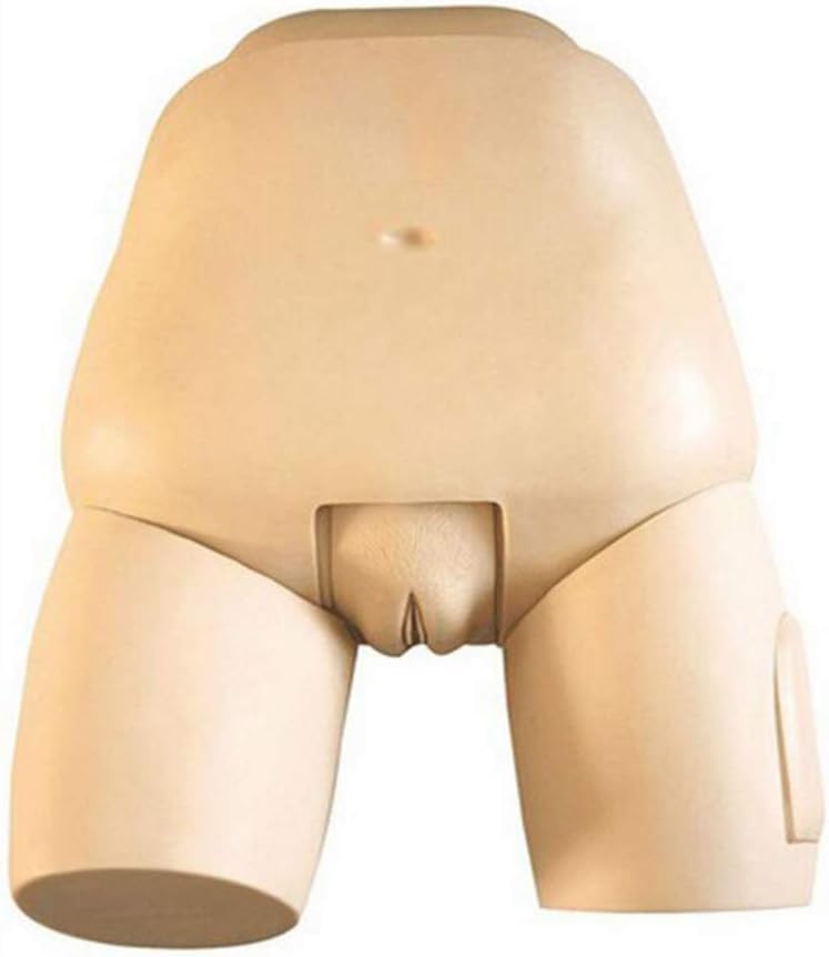 BIUYYY Gynecological Examination Model Uterine Fundus Examination Model - for Manikin Teaching Nursing School Supplies
